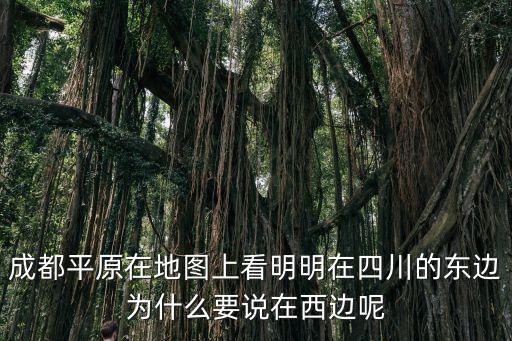 成都平原在地圖上看明明在四川的東邊為什么要說(shuō)在西邊呢