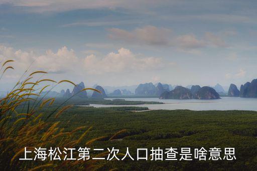 上海松江第二次人口抽查是啥意思