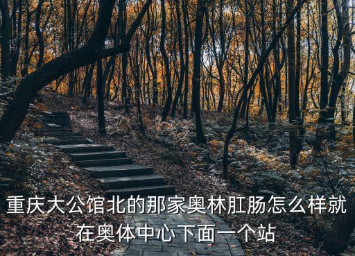 重慶大公館北的那家奧林肛腸怎么樣就在奧體中心下面一個站