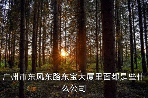 廣州市東風(fēng)東路東寶大廈里面都是些什么公司