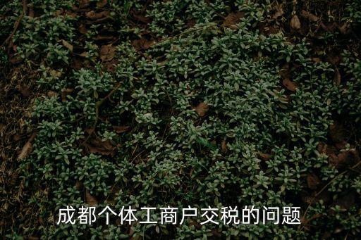 成都個體工商戶交稅的問題