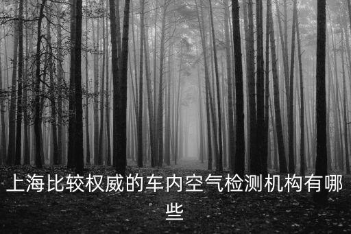 上海比較權威的車內空氣檢測機構有哪些