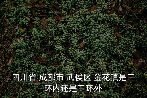 成都市武漢區(qū)金花鎮(zhèn)洗碗工招聘信息，四川省 成都市 武侯區(qū) 金花鎮(zhèn)是三環(huán)內(nèi)還是三環(huán)外