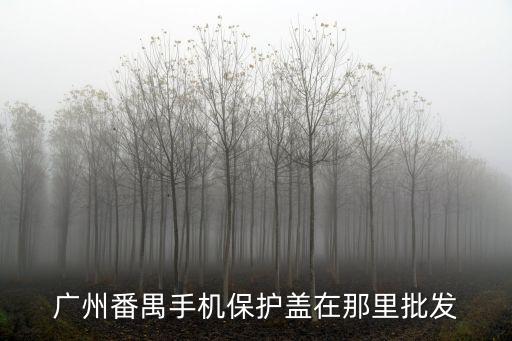 廣州番禺手機保護蓋在那里批發