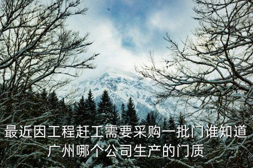 最近因工程趕工需要采購(gòu)一批門誰(shuí)知道廣州哪個(gè)公司生產(chǎn)的門質(zhì)