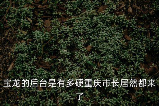 寶龍的后臺是有多硬重慶市長居然都來了