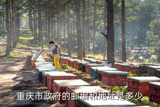 重慶市市政府198，重慶市政府的郵編和地址是多少
