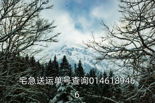 宅急送運單號查詢0146189466