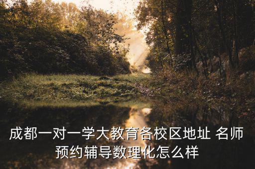 成都一對一學大教育各校區地址 名師預約輔導數理化怎么樣
