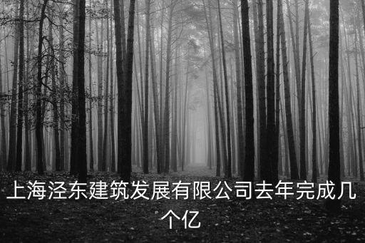 上海市去年銷售彩票多少億，上海涇東建筑發(fā)展有限公司去年完成幾個(gè)億