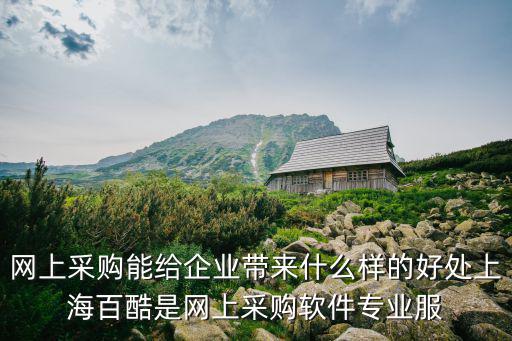 網上采購能給企業帶來什么樣的好處上海百酷是網上采購軟件專業服