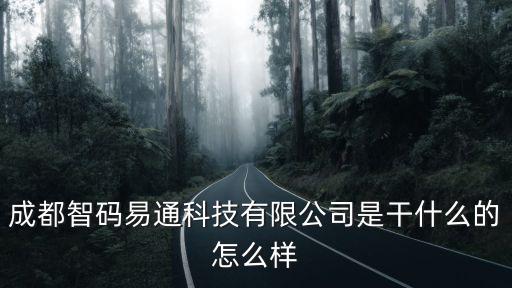 成都智碼易通科技有限公司是干什么的怎么樣