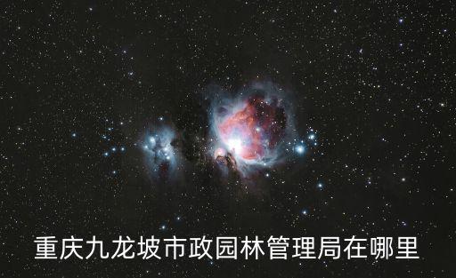 重慶市政園林行政許可辦理，重慶九龍坡市政園林管理局在哪里