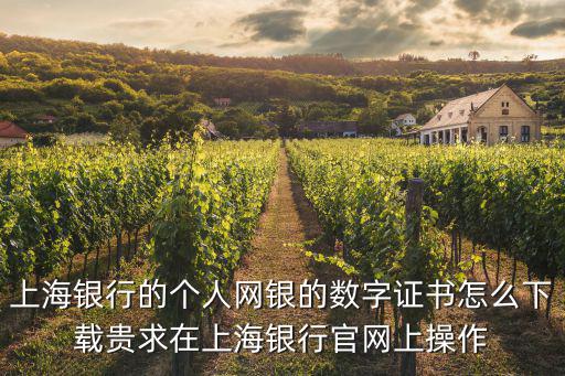 上海銀行的個人網銀的數字證書怎么下載貴求在上海銀行官網上操作