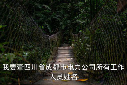 我要查四川省成都市電力公司所有工作人員姓名