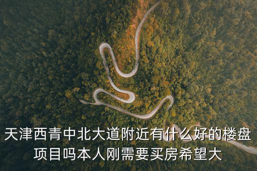 天津西青中北大道附近有什么好的樓盤(pán)項(xiàng)目嗎本人剛需要買房希望大