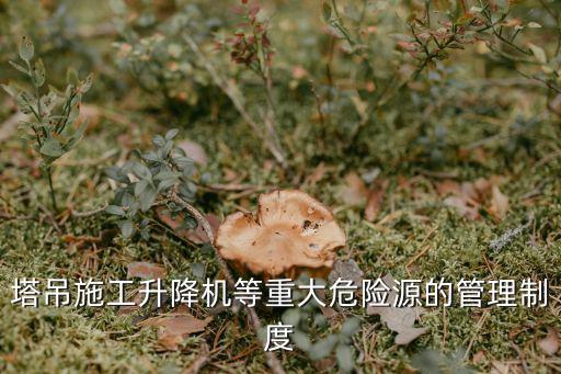 上海市重大危險源管理，重大危險源管理需哪些管理制度