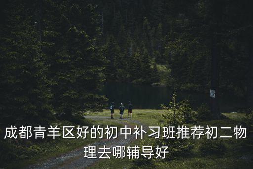 成都青羊區(qū)好的初中補習(xí)班推薦初二物理去哪輔導(dǎo)好