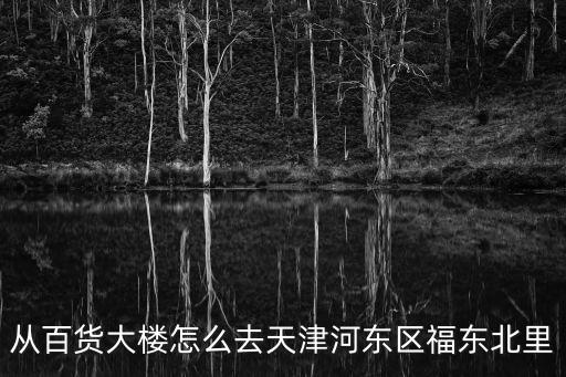 從百貨大樓怎么去天津河?xùn)|區(qū)福東北里