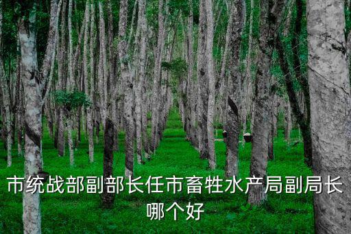 上海市委統戰部吳金城，市統戰部副部長任市畜牲水產局副局長哪個好