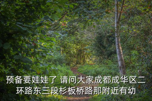 預(yù)備要娃娃了 請(qǐng)問(wèn)大家成都成華區(qū)二環(huán)路東三段杉板橋路那附近有幼