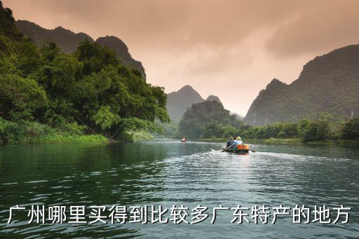廣州哪里買得到比較多廣東特產的地方
