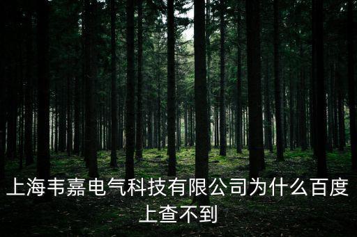 深圳韋嘉科技，上海韋嘉電氣科技有限公司為什么百度上查不到