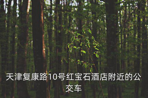 天津復康路10號紅寶石酒店附近的公交車