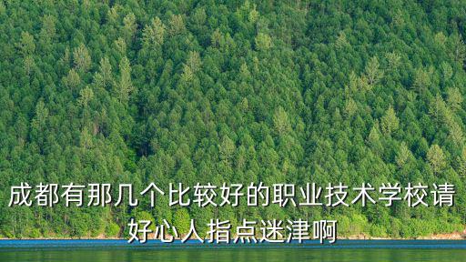 成都有那幾個比較好的職業技術學校請好心人指點迷津啊