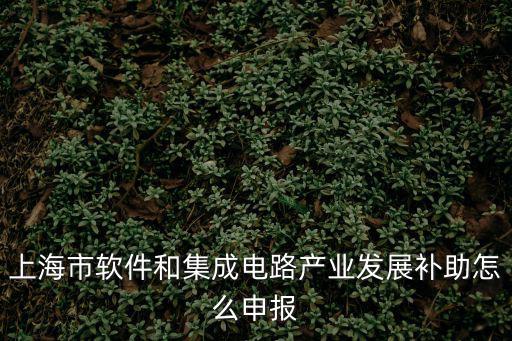 上海市專項(xiàng)政府補(bǔ)貼金額，在上海學(xué)消防證有補(bǔ)助嗎