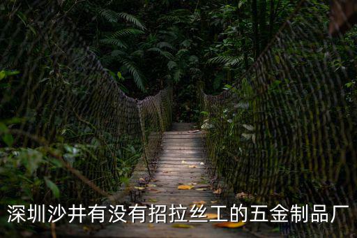 深圳沙井有沒有招拉絲工的五金制品廠