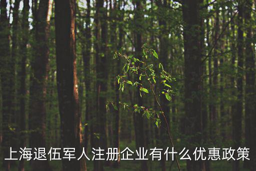 上海市退伍軍人創(chuàng)業(yè)，上海市對(duì)退伍軍人創(chuàng)業(yè)貸款有何優(yōu)惠政策