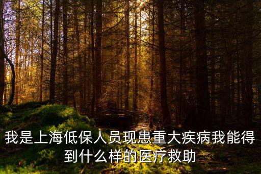 我是上海低保人員現患重大疾病我能得到什么樣的醫療救助