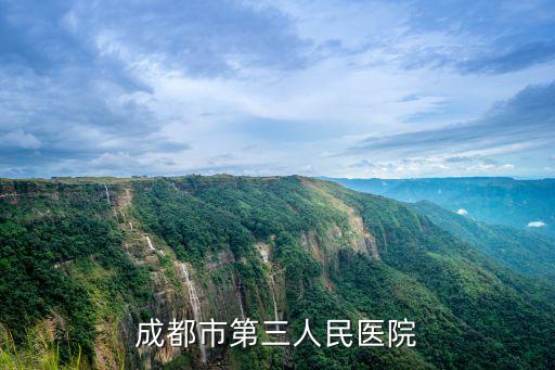 成都市第三人民醫院