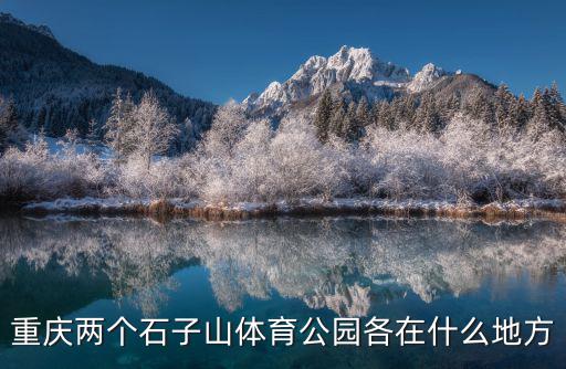 重慶兩個(gè)石子山體育公園各在什么地方