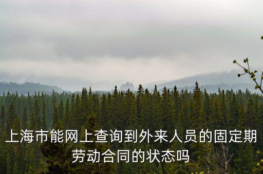 上海市能網上查詢到外來人員的固定期勞動合同的狀態嗎