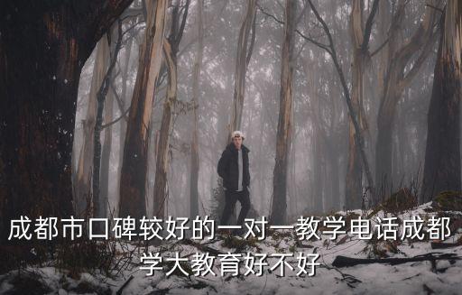 成都市口碑較好的一對一教學(xué)電話成都學(xué)大教育好不好