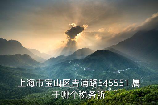 上海市寶山區吉浦路545551 屬于哪個稅務所
