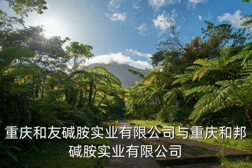 重慶和友堿胺實業有限公司與重慶和邦堿胺實業有限公司