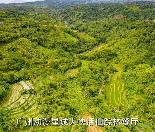 廣州動漫星城大快活仙蹤林餐廳