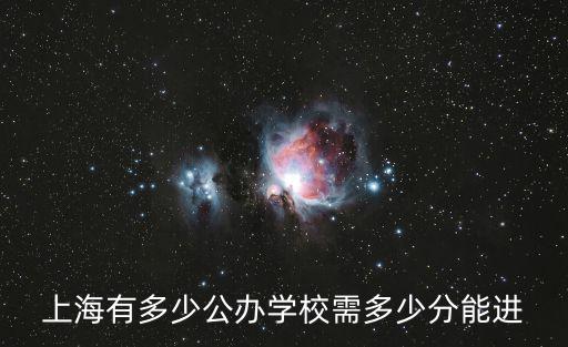 上海有多少公辦學(xué)校需多少分能進(jìn)