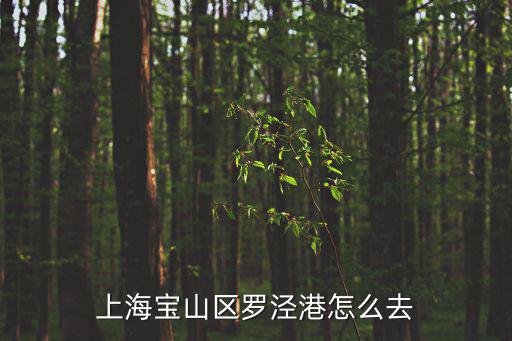 上海市區如何去羅涇，從上海市區到羅涇碼頭坐什么車
