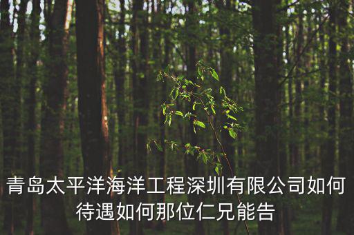 青島太平洋海洋工程深圳有限公司如何待遇如何那位仁兄能告