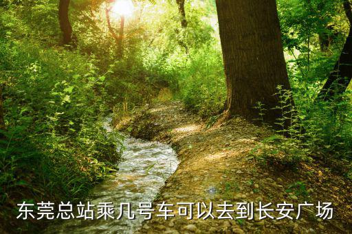 東莞總站乘幾號車可以去到長安廣場