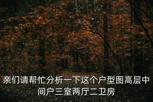 深圳中央悅城戶型圖，親們請幫忙分析一下這個戶型圖高層中間戶三室兩廳二衛房