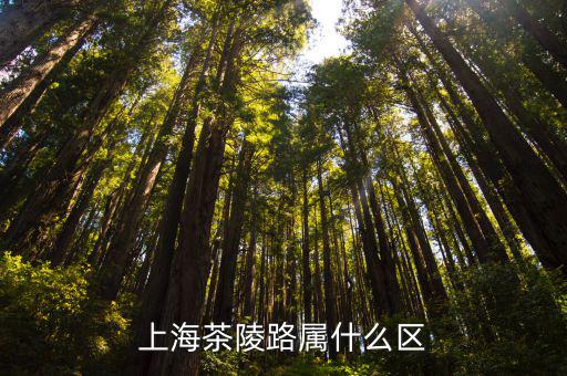 上海茶陵路屬什么區(qū)