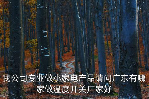 廣州坤圣家用電器有限公司，我公司專業做小家電產品請問廣東有哪家做溫度開關廠家好