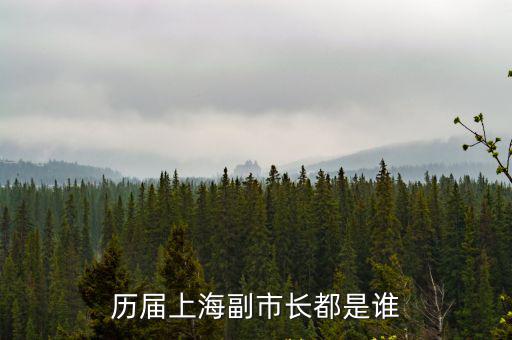 歷屆上海副市長都是誰