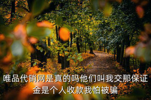 唯品代銷網(wǎng)是真的嗎他們叫我交那保證金是個人收款我怕被騙