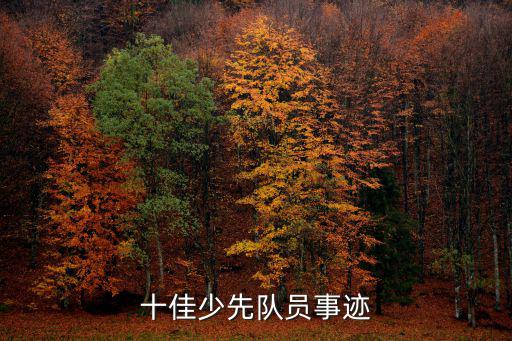 十佳少先隊員事跡